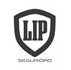 09-agencia-publicidad-lip-seguridad